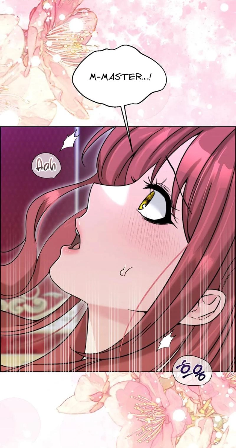 Read The Maid