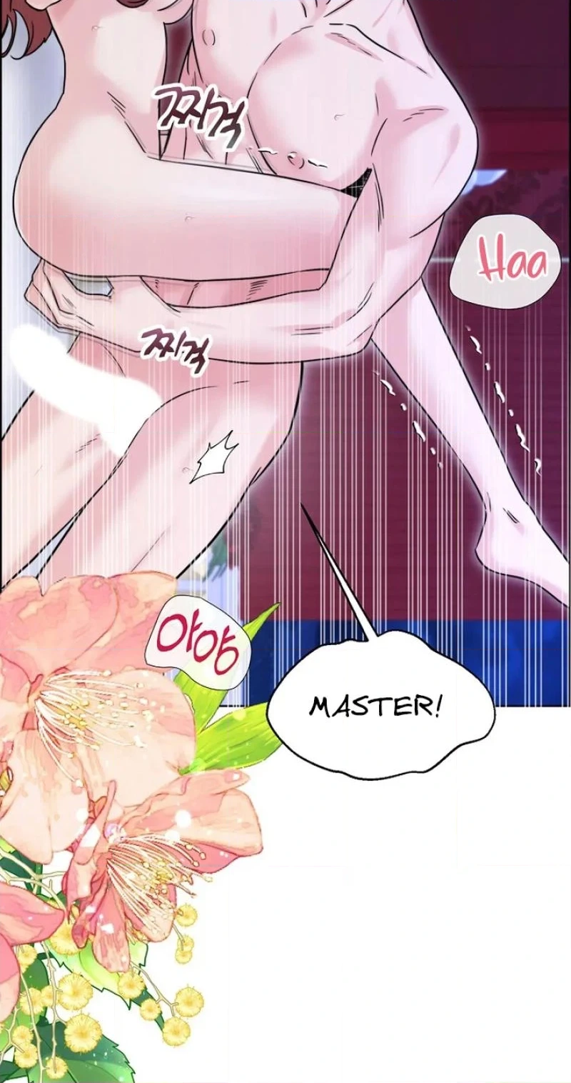 Read The Maid