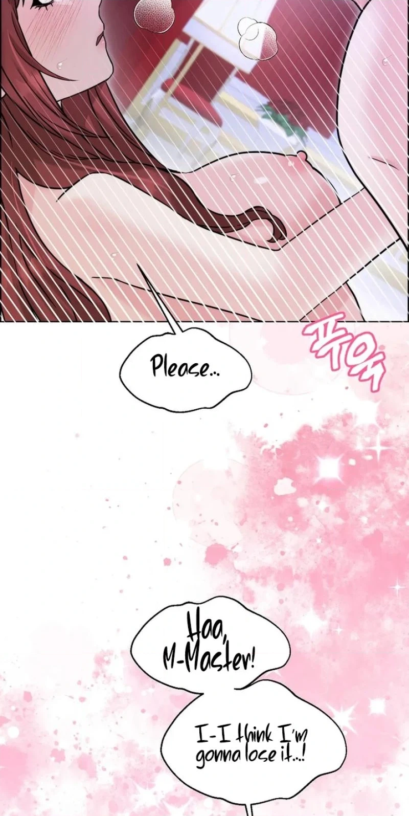 Read The Maid