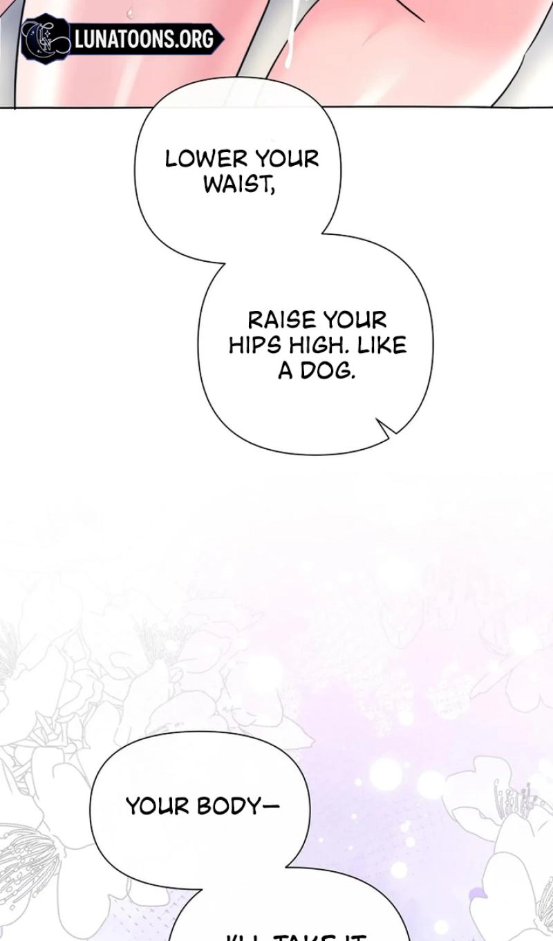 Read The Maid