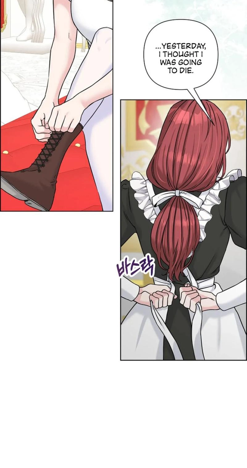 Read The Maid