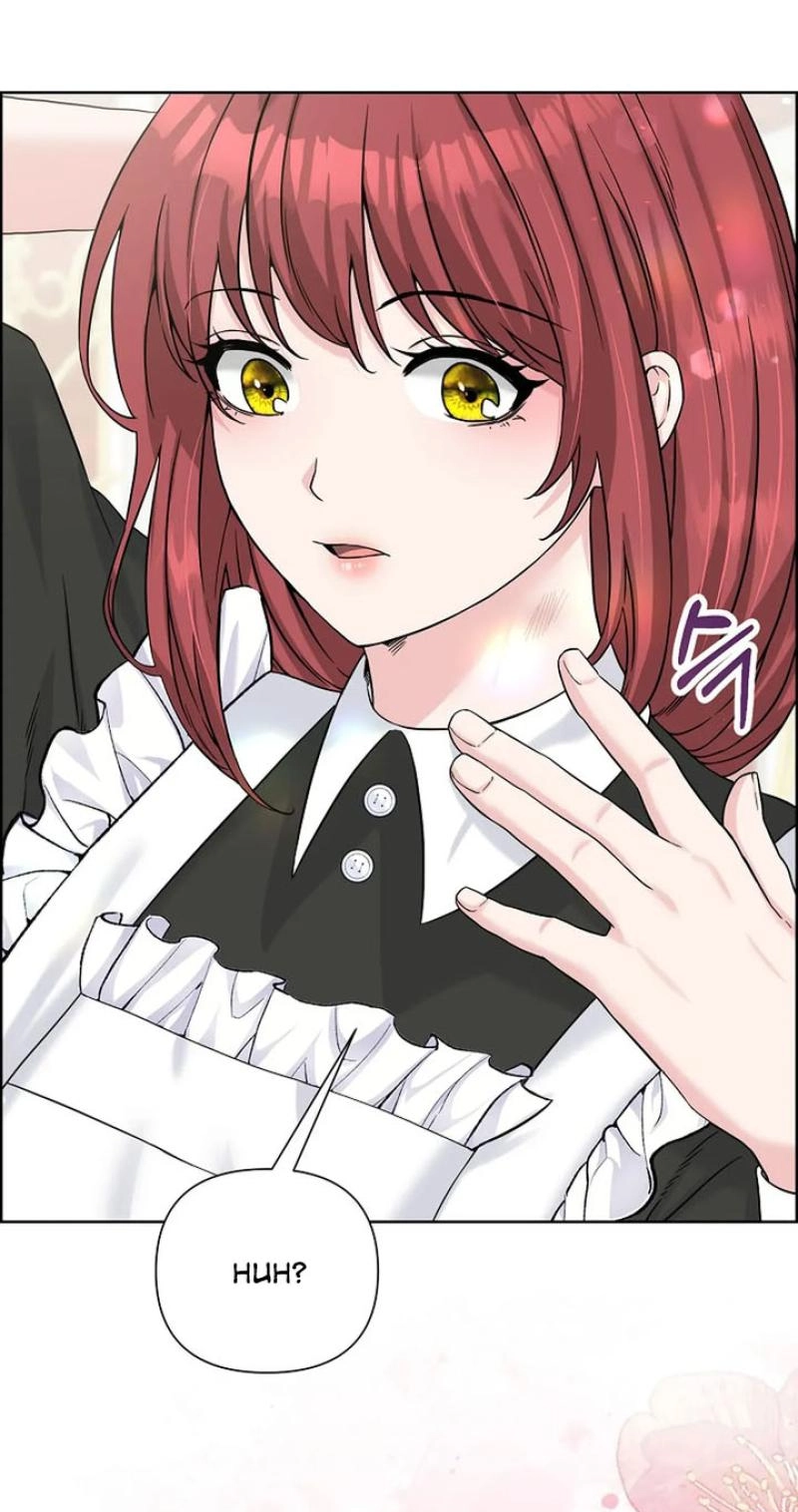 Read The Maid