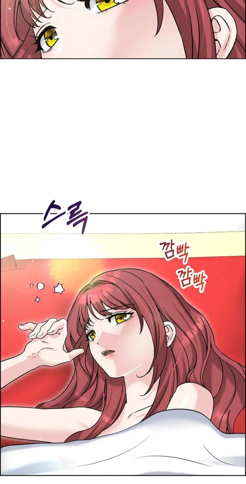 Read The Maid