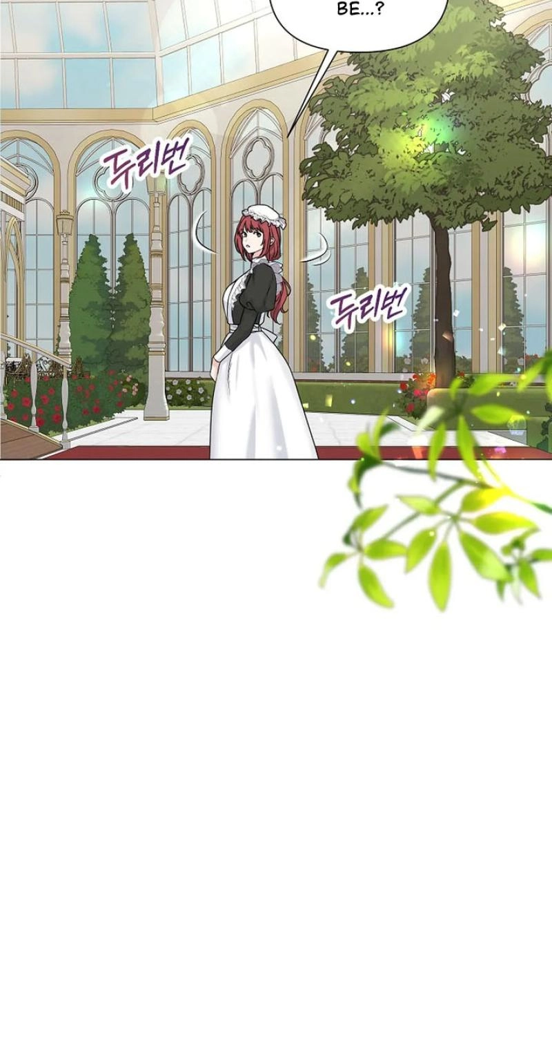 Read The Maid