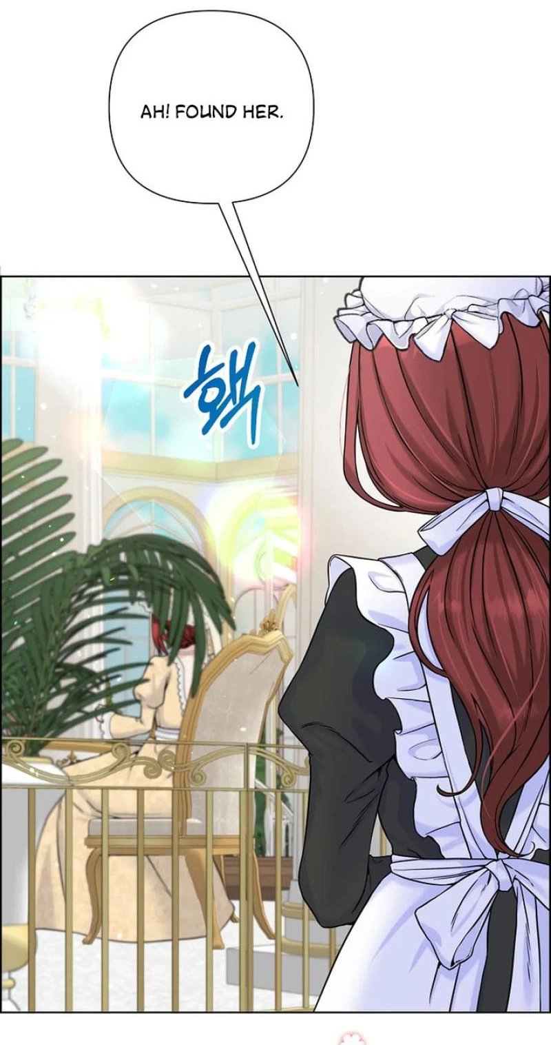 Read The Maid