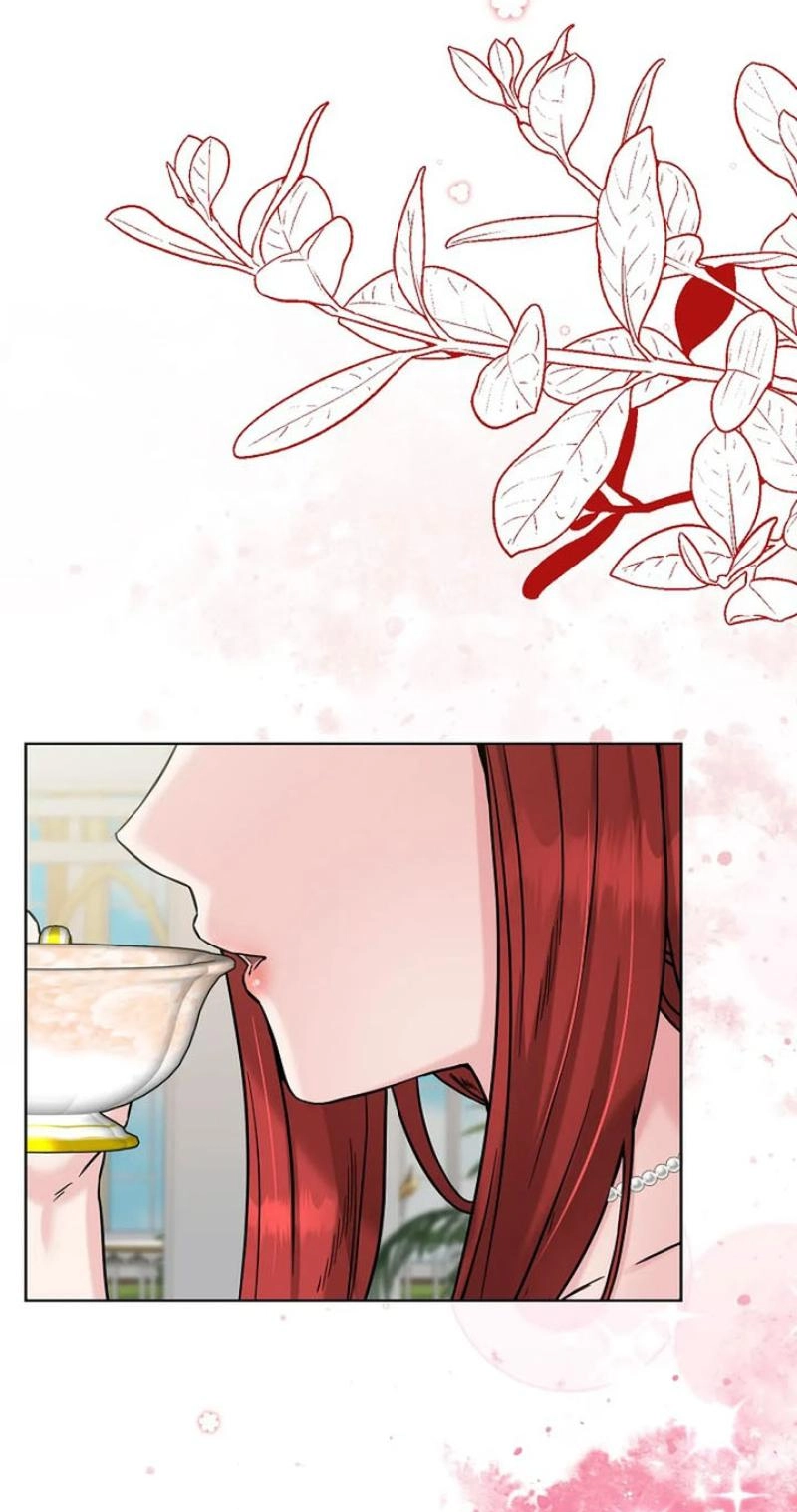 Read The Maid