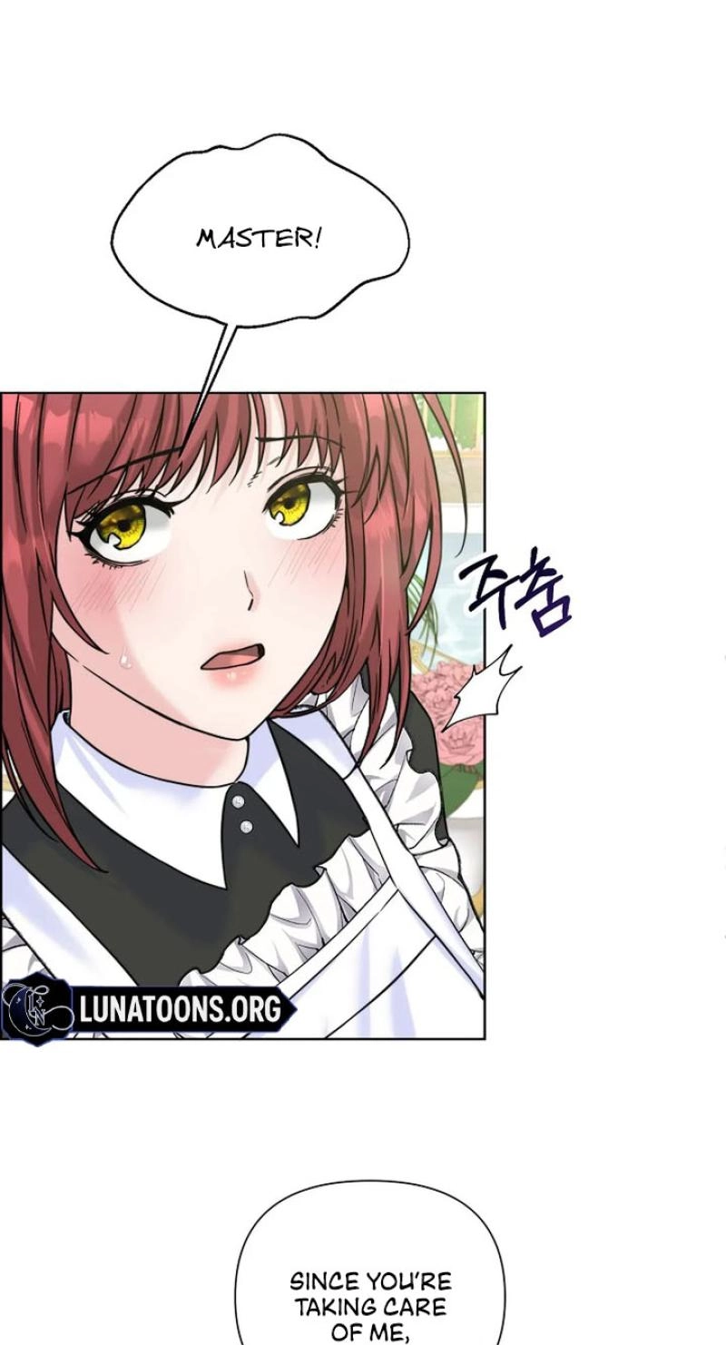 Read The Maid