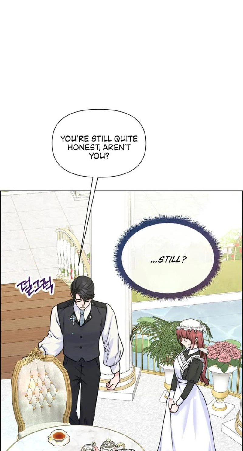 Read The Maid