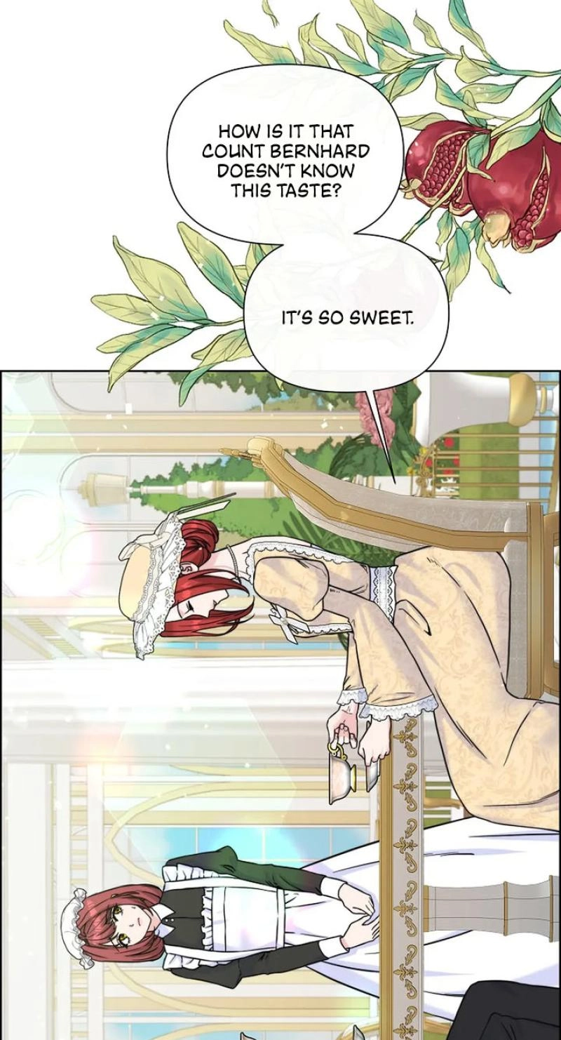 Read The Maid