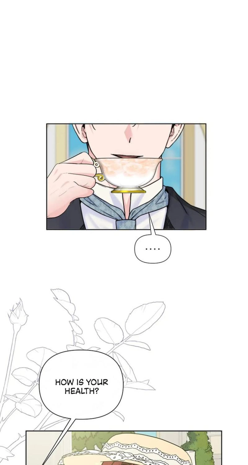 Read The Maid