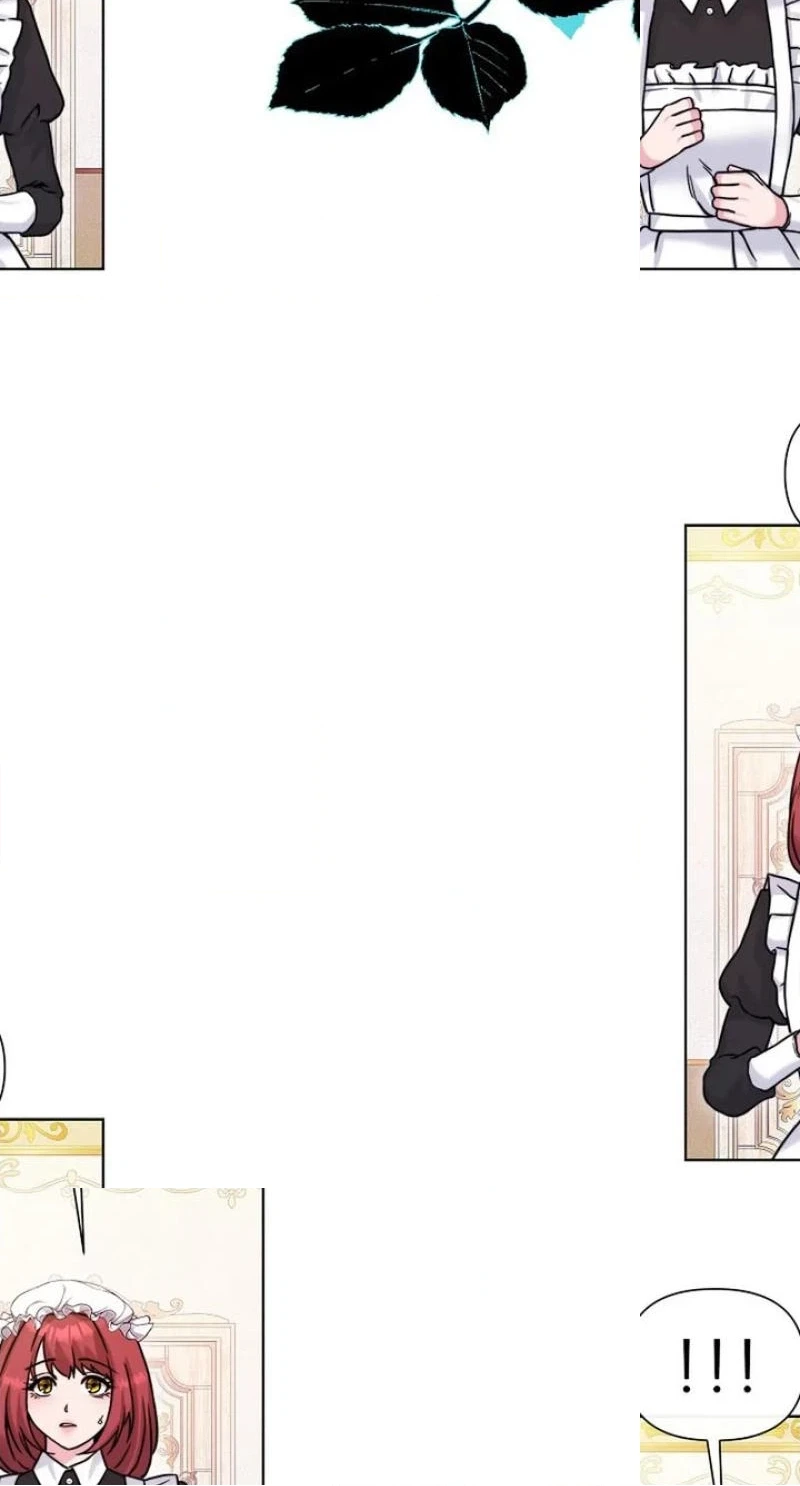 Read The Maid