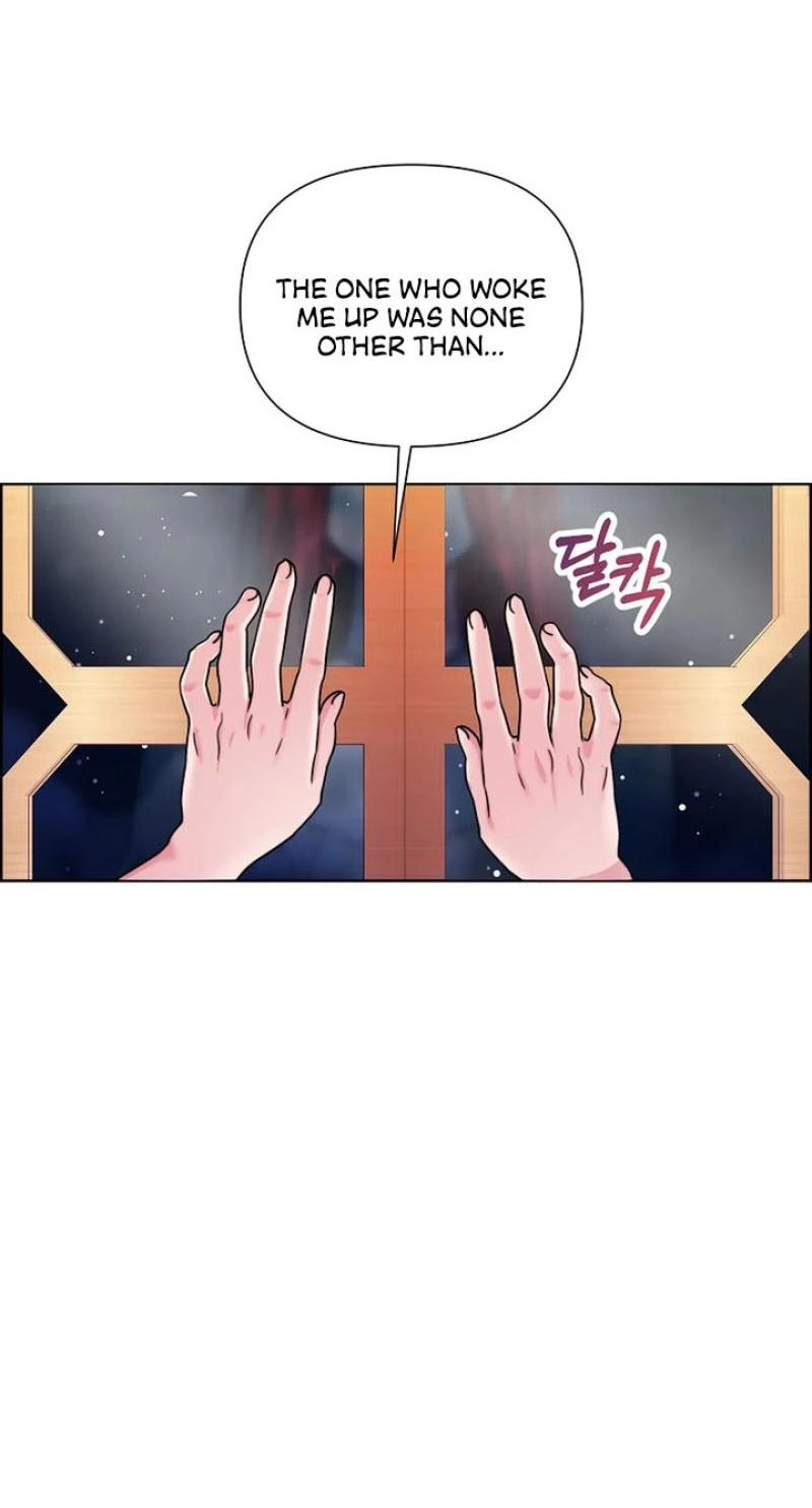 Read The Maid