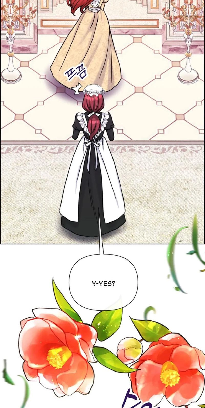 Read The Maid