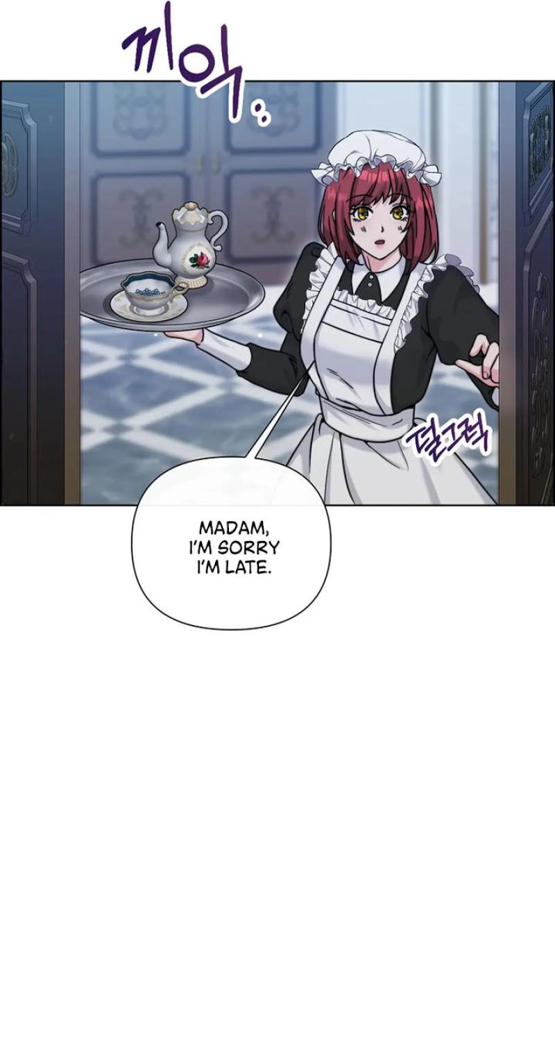 Read The Maid