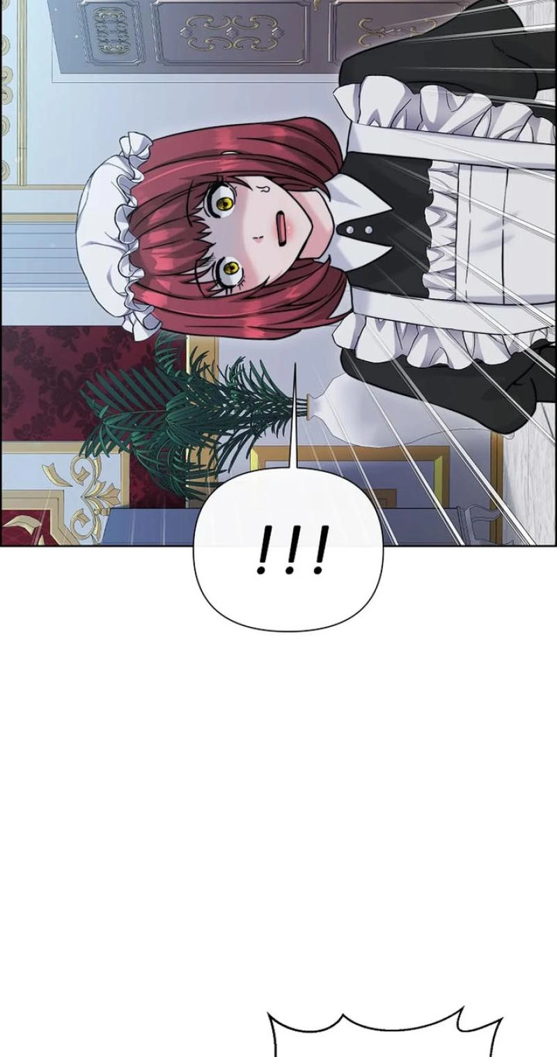 Read The Maid