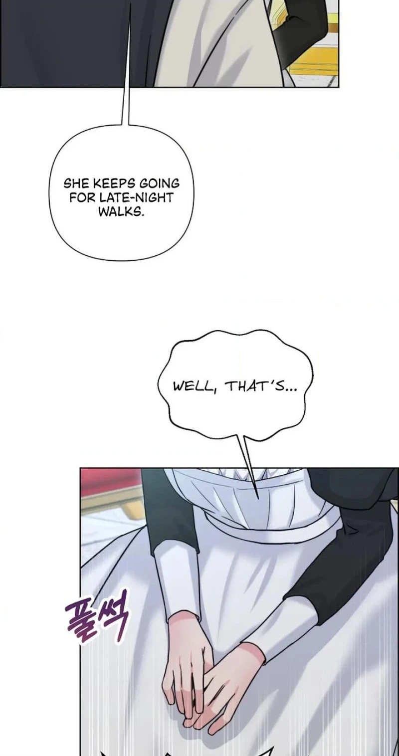 Read The Maid