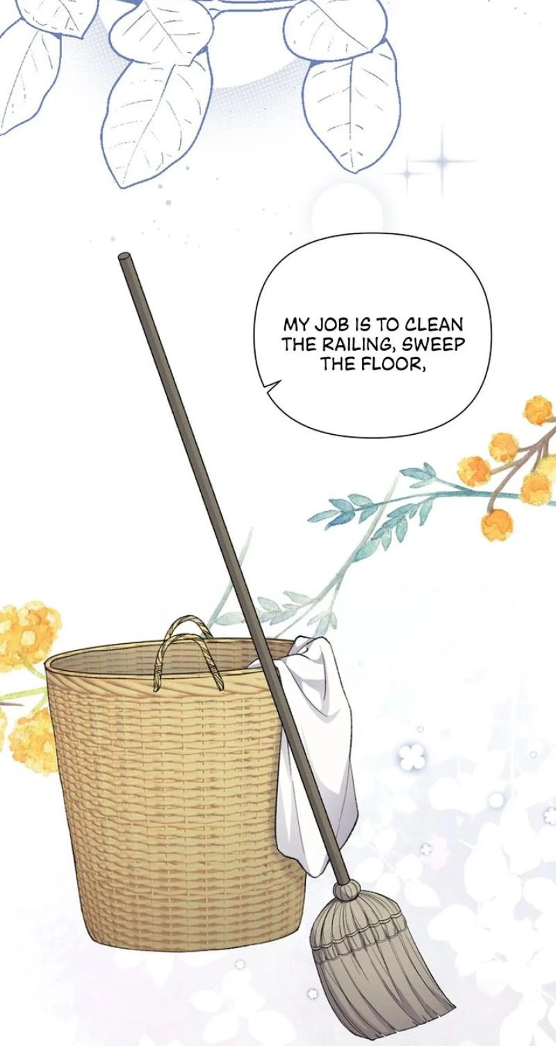 Read The Maid
