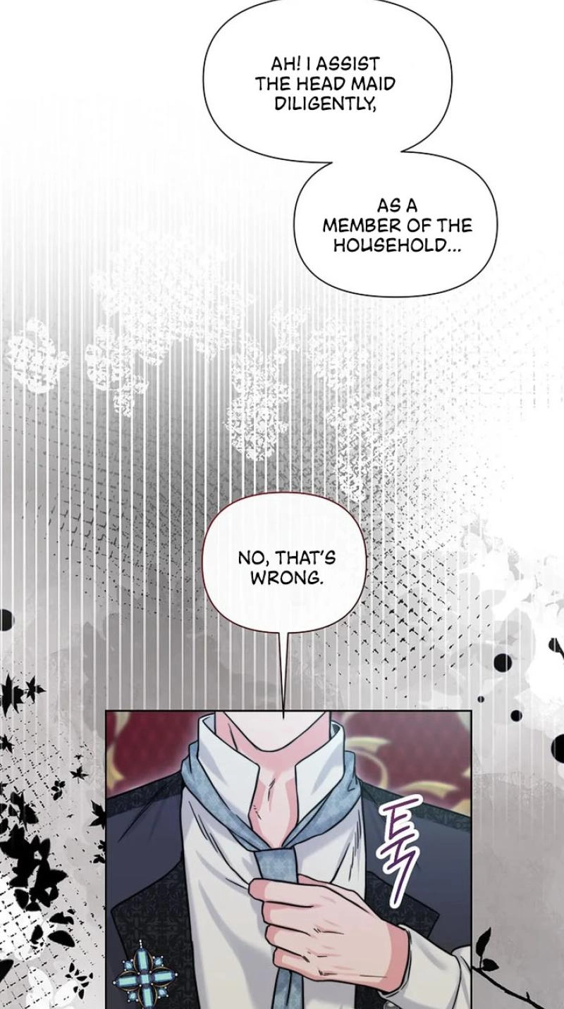 Read The Maid
