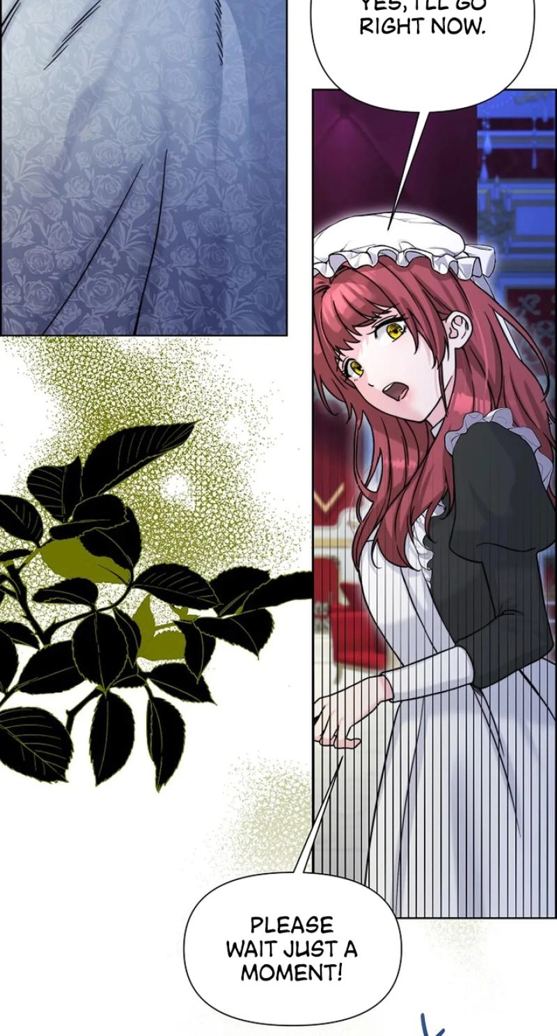 Read The Maid