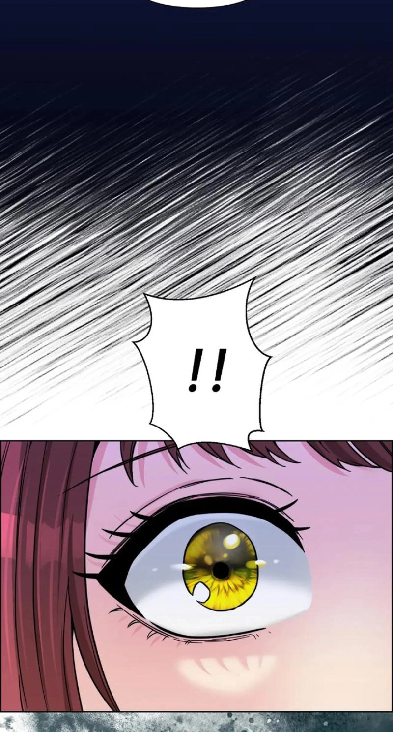 Read The Maid