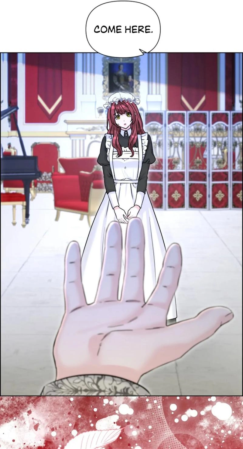 Read The Maid