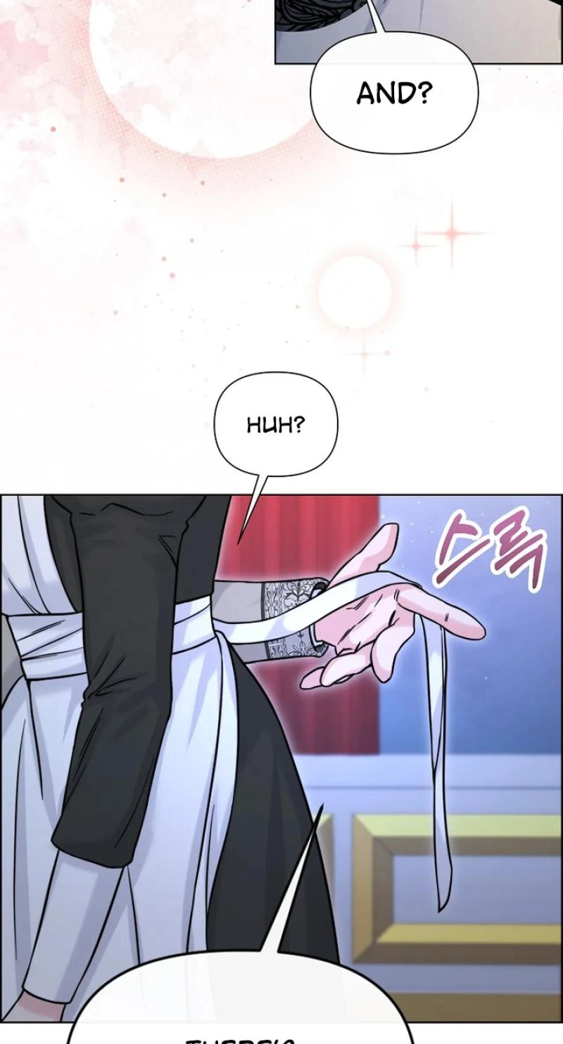 Read The Maid