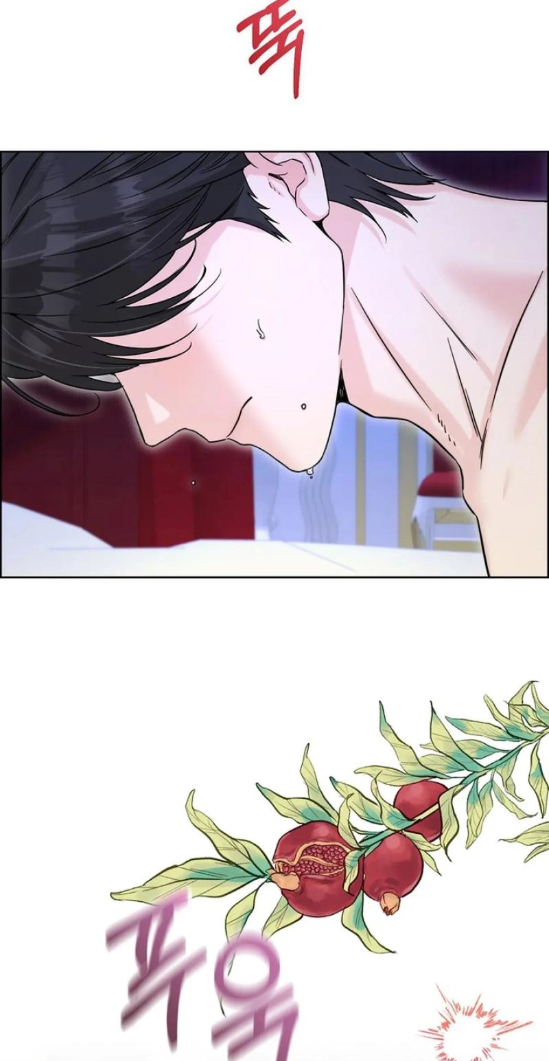 Read The Maid