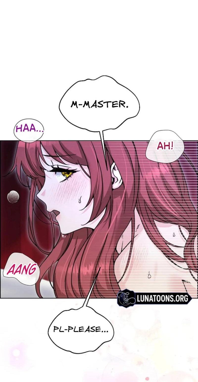 Read The Maid