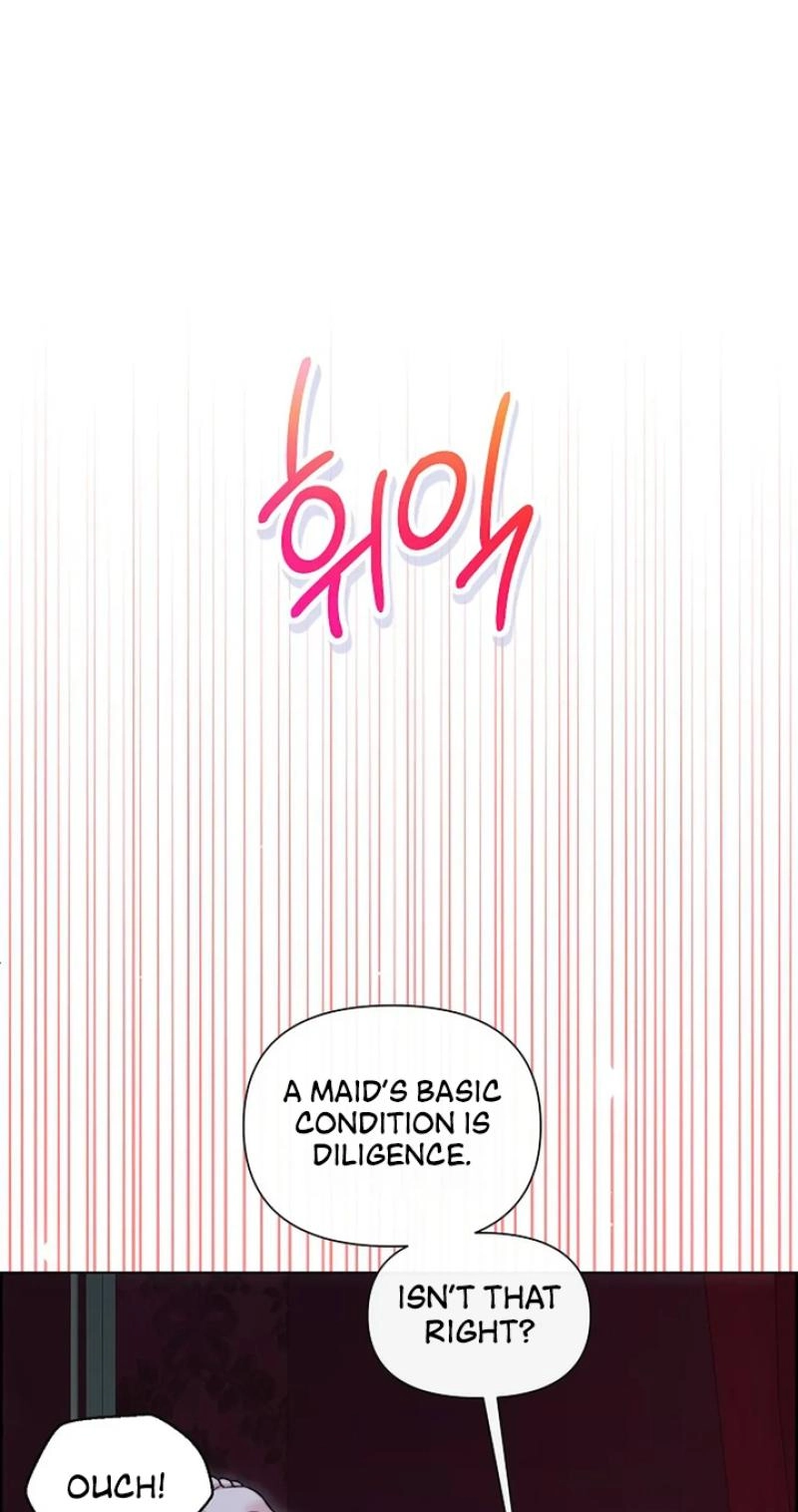 Read The Maid