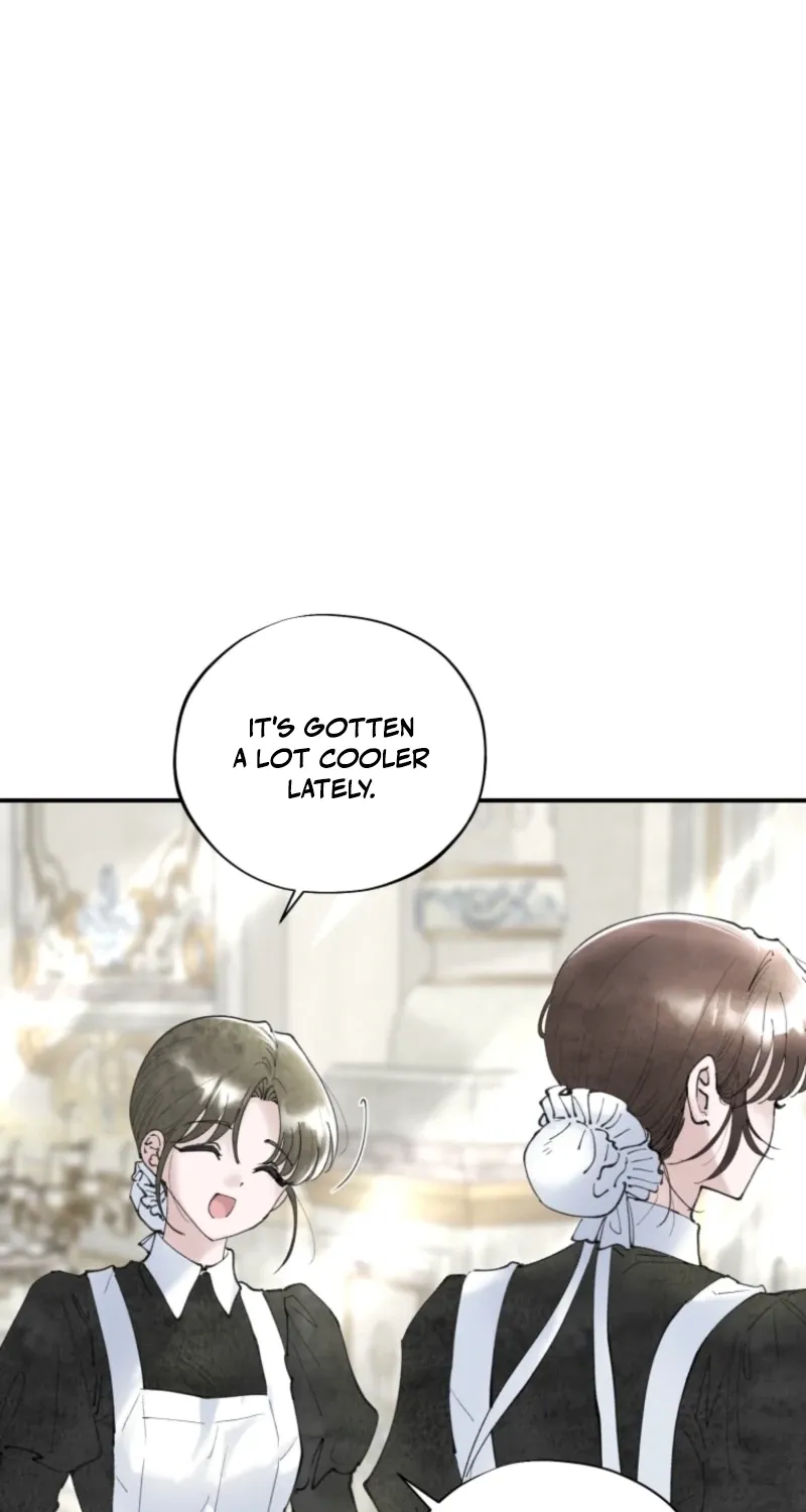 Read The Maid