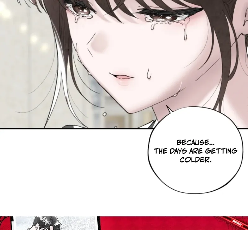 Read The Maid