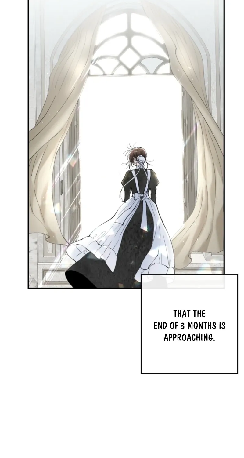 Read The Maid