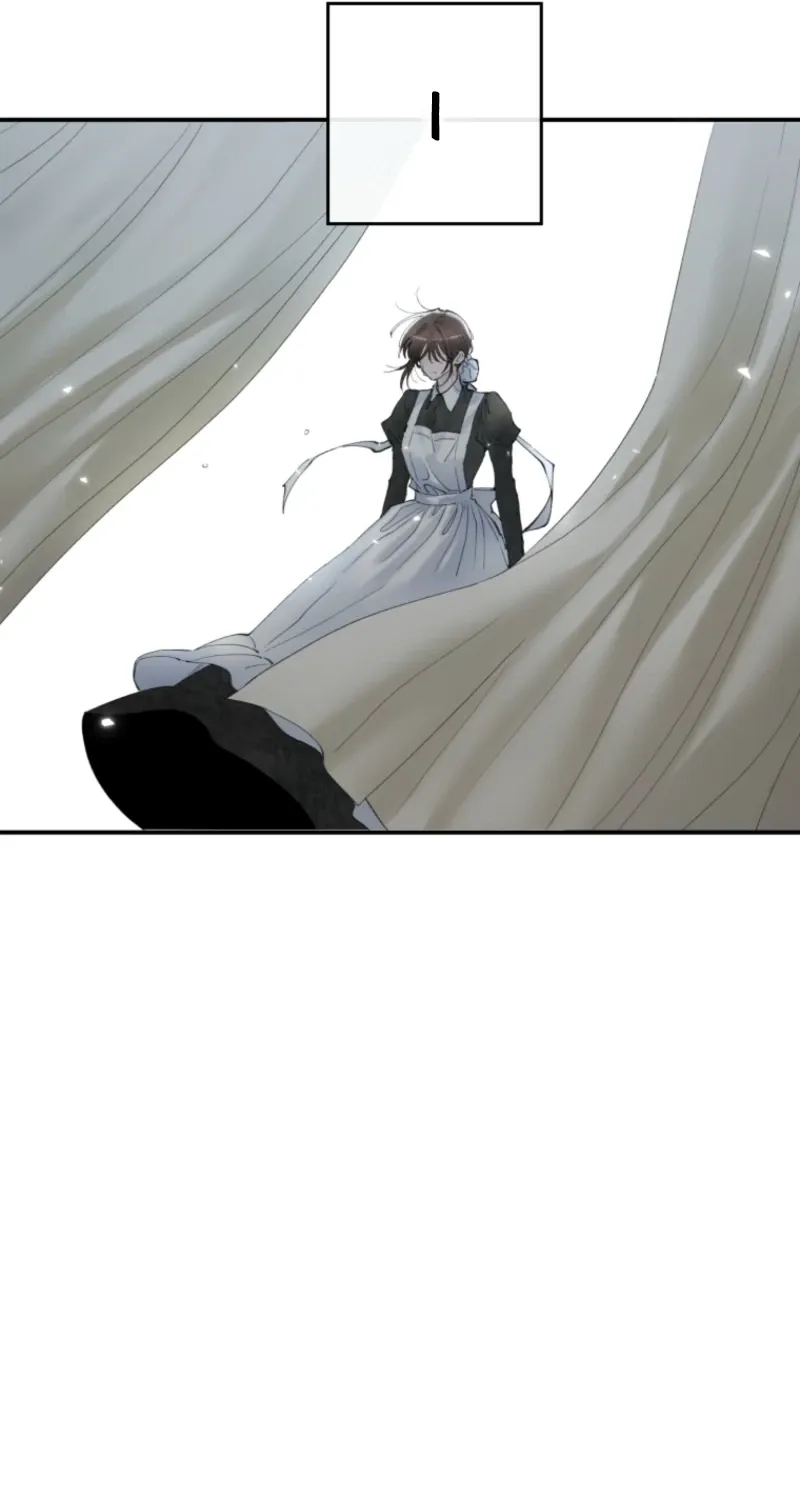 Read The Maid