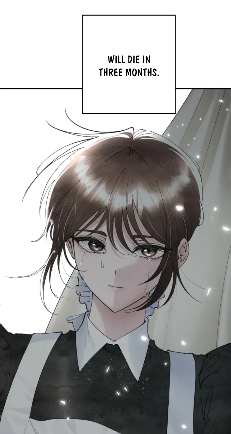 Read The Maid