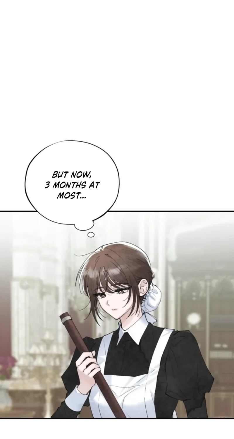 Read The Maid