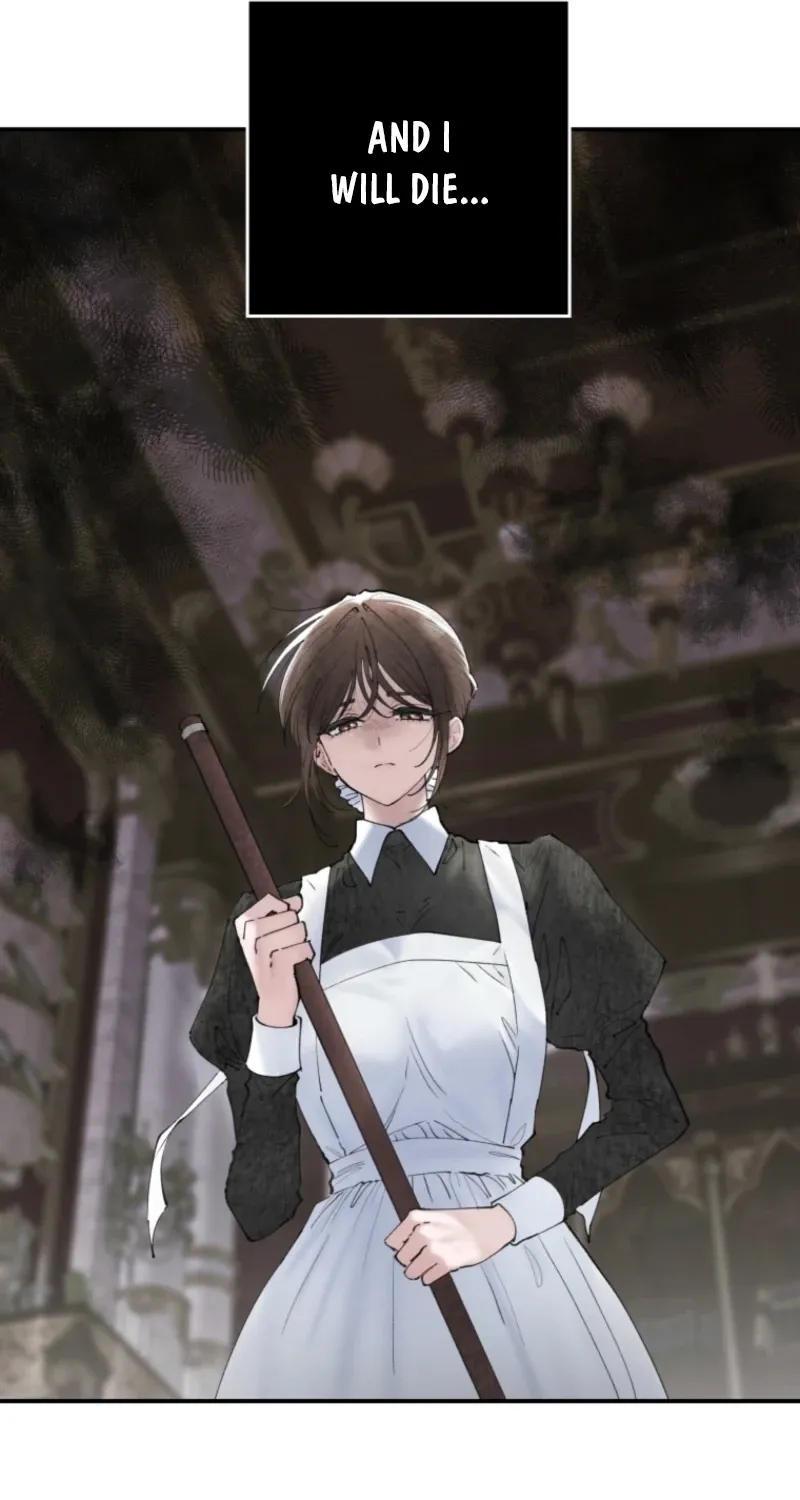 Read The Maid