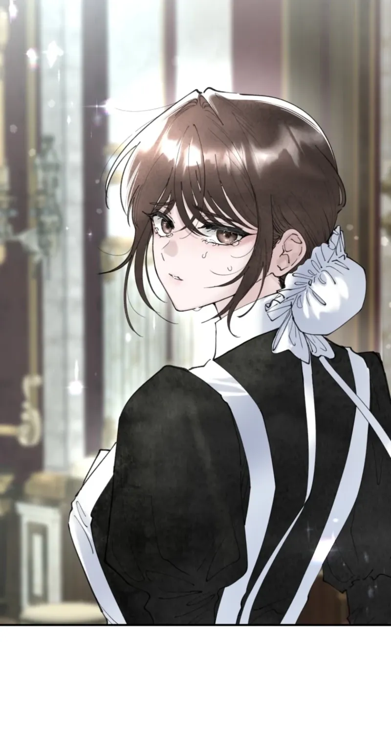 Read The Maid