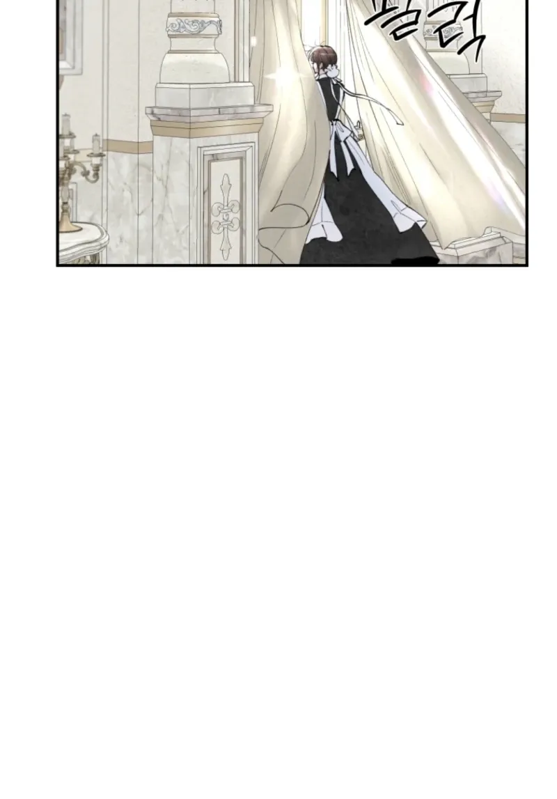 Read The Maid