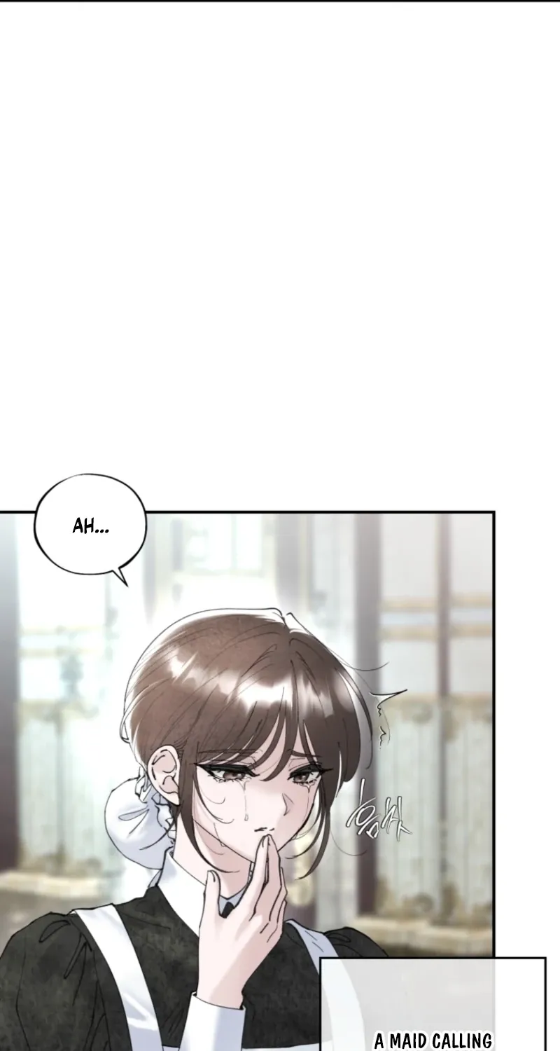 Read The Maid