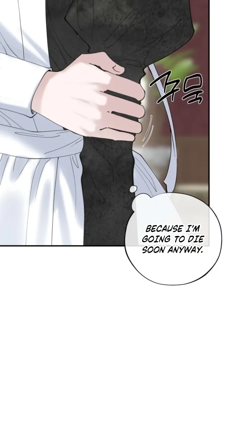 Read The Maid