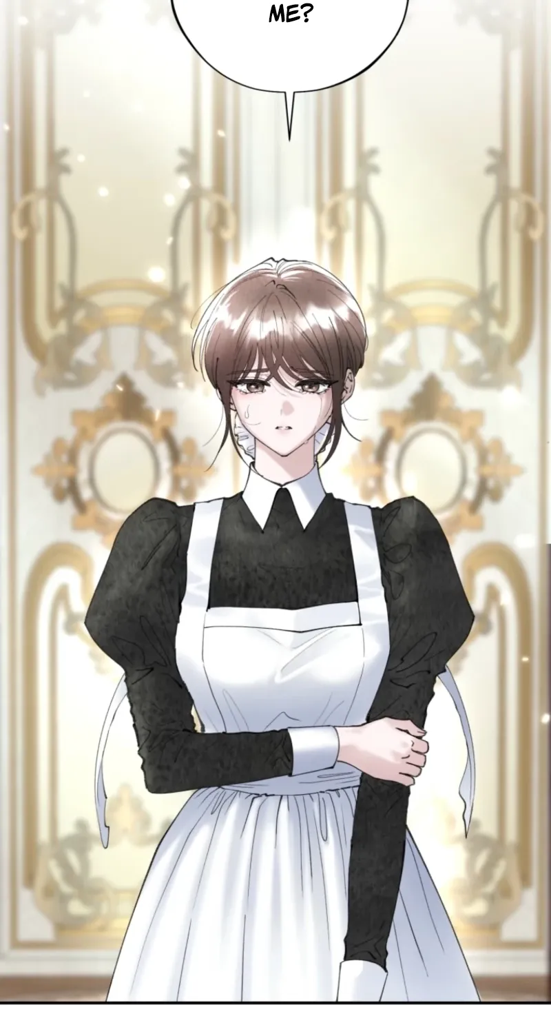Read The Maid