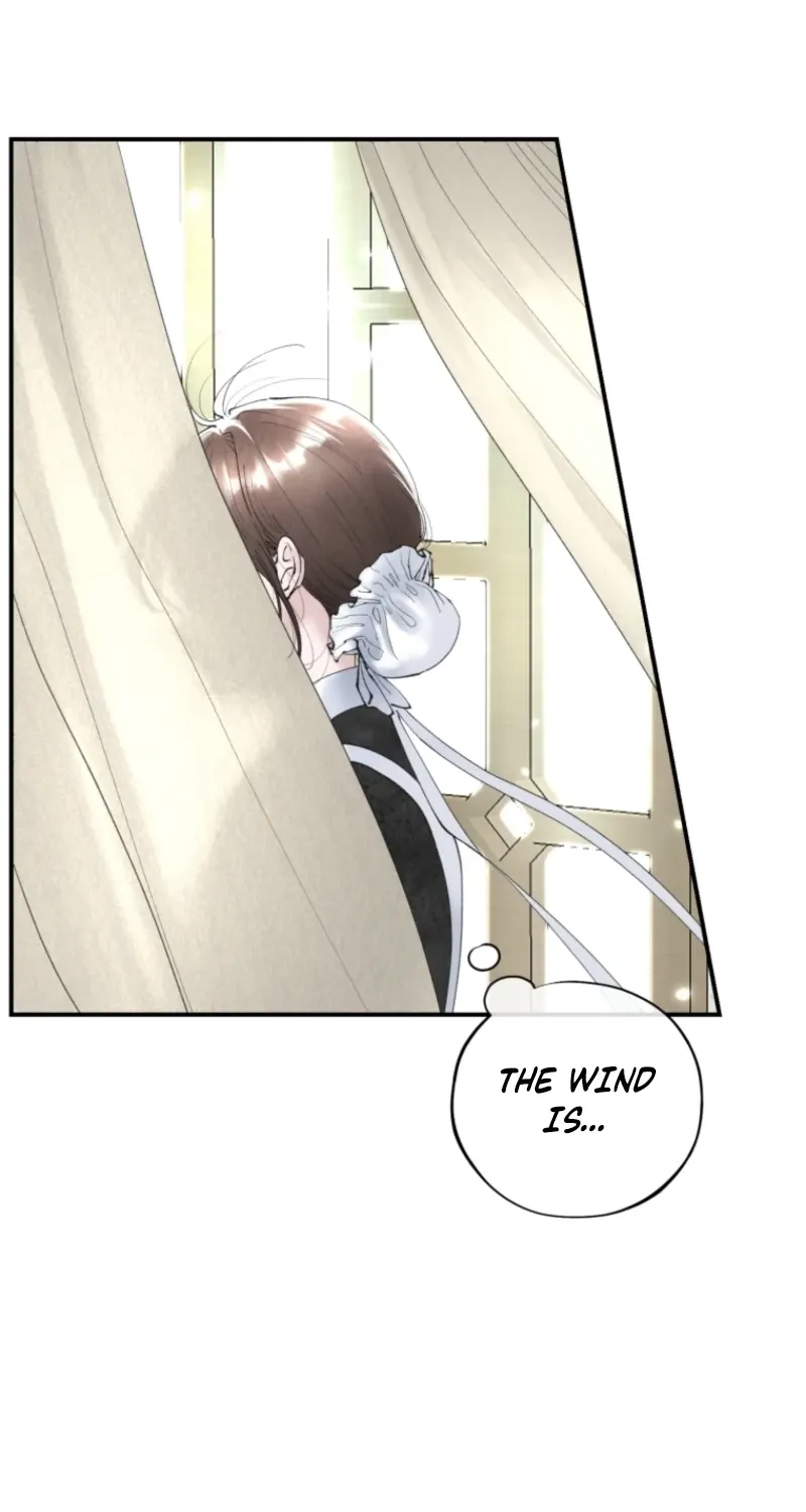Read The Maid