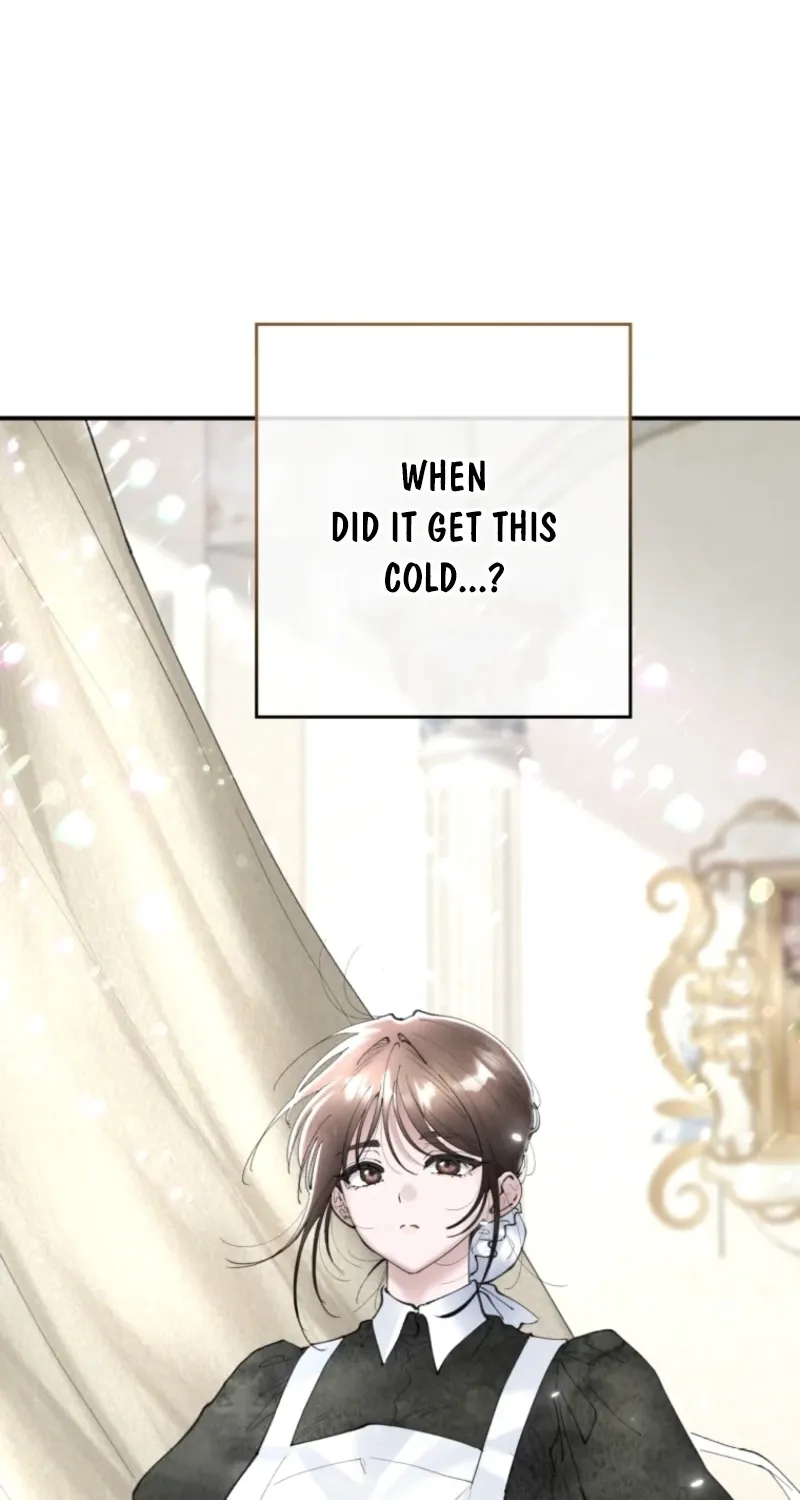 Read The Maid