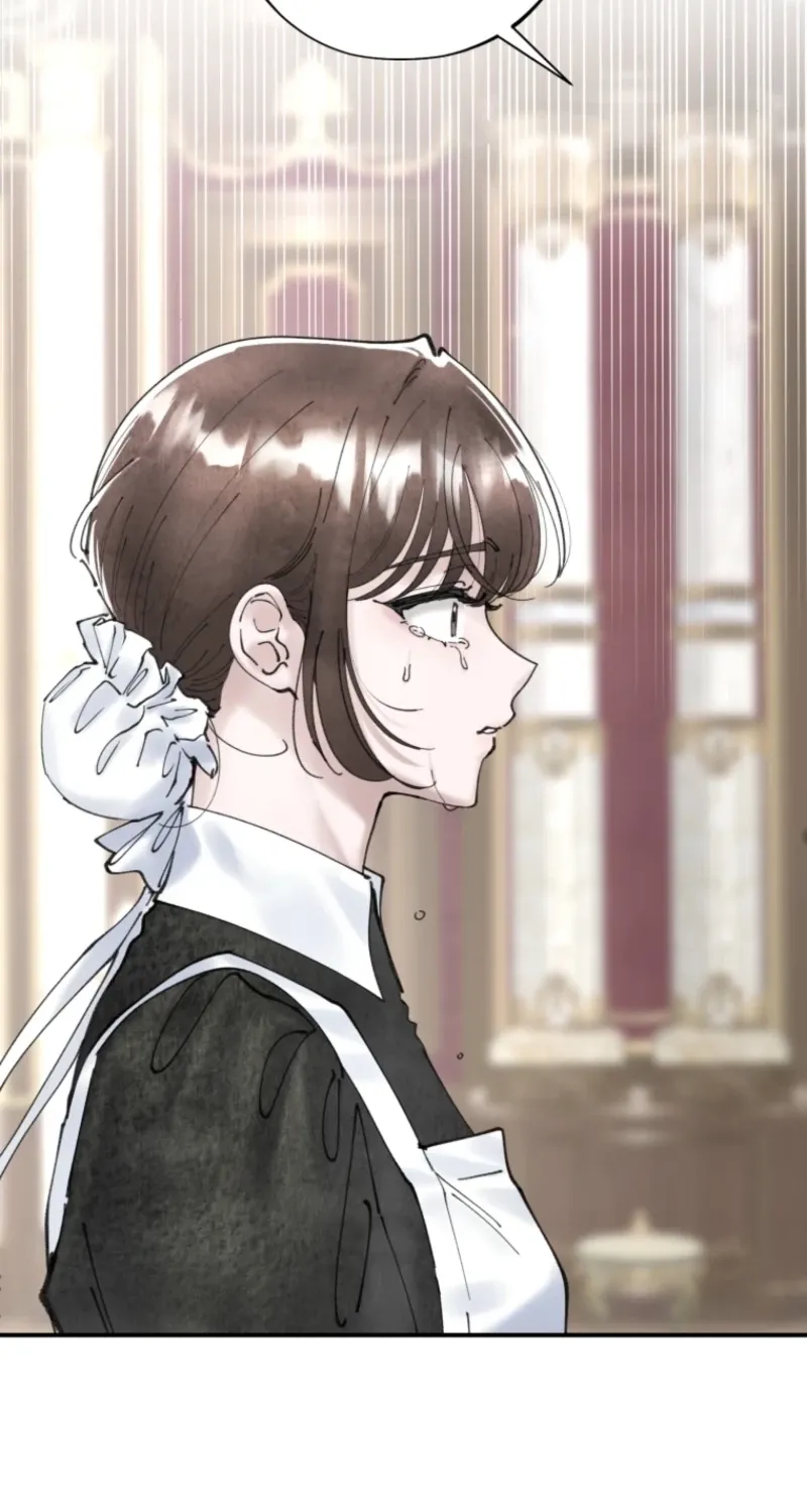 Read The Maid