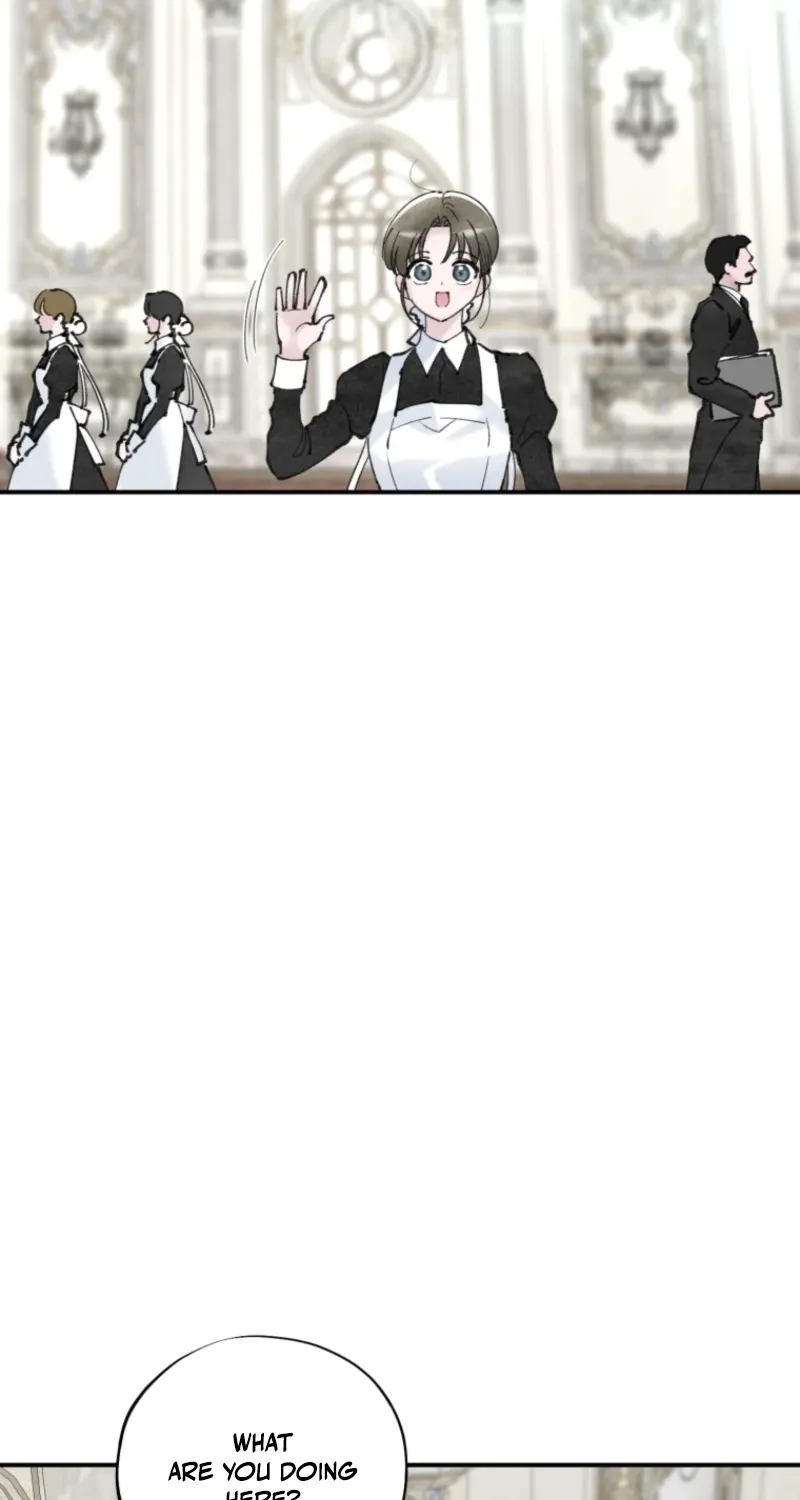 Read The Maid