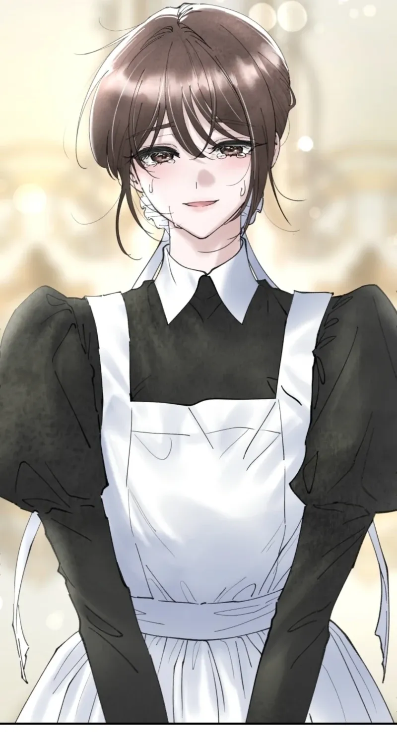Read The Maid