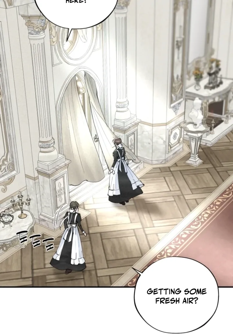 Read The Maid