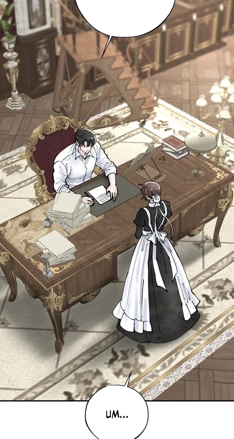 Read The Maid