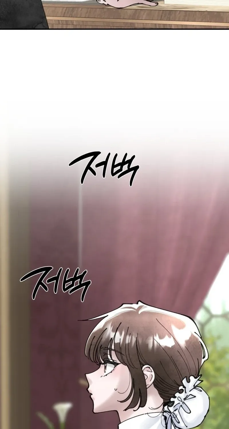 Read The Maid