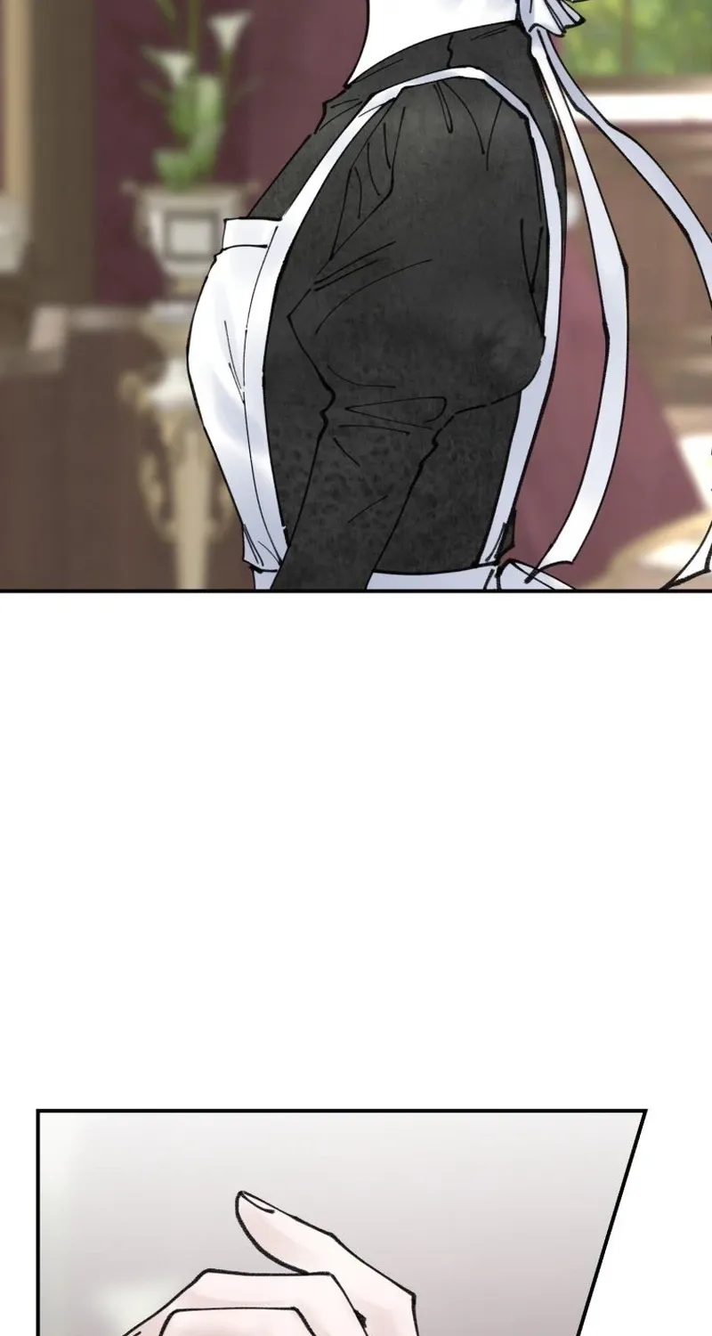 Read The Maid